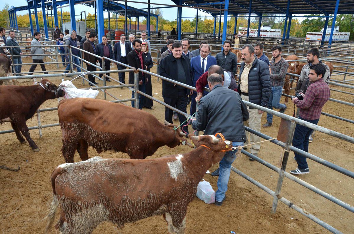 Genç Çiftçi Projesi