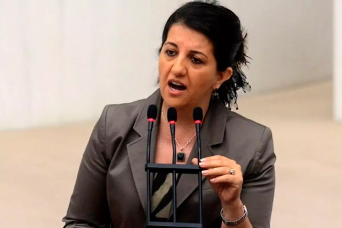 Gözaltına Alınan HDP\'li Pervin Buldan Kimdir?