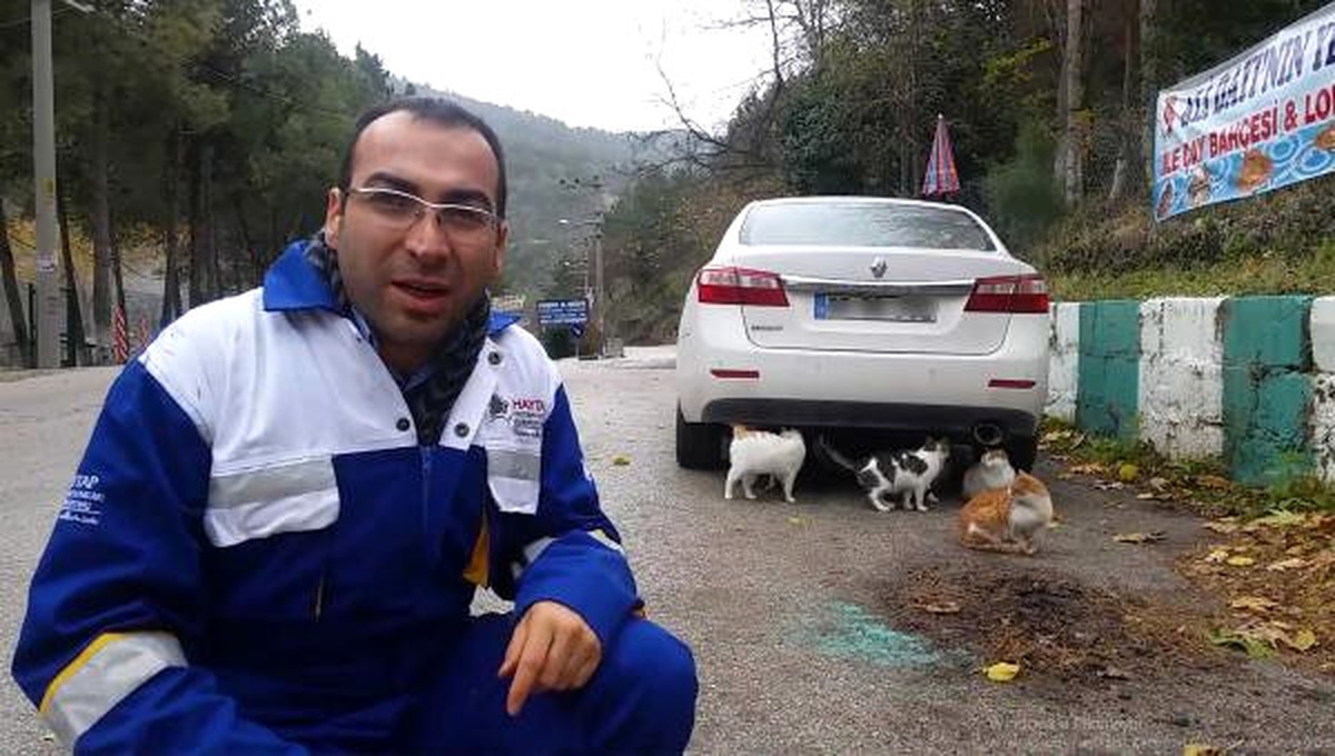 Haytap: Kedi Olabilir. Soğuk Havalarda Kaportaya Vurmadan Aracınızı Çalıştırmayın