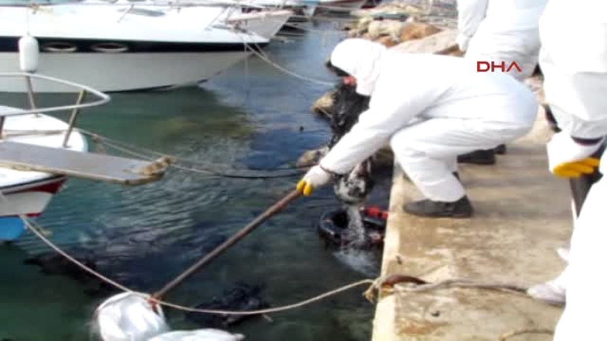 Izmir Çeşme\'de Denize Sızan Yakıt Kirliliği Temizleniyor
