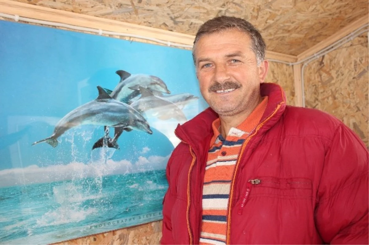 Karadeniz\'de "Hamsinin Kulağına Kar Suyu Kaçtı" Sözü Yalan Oldu