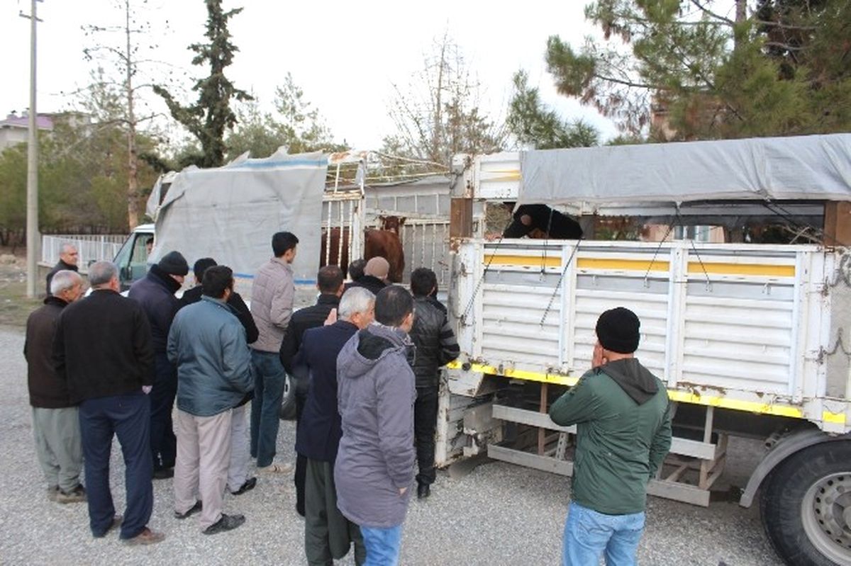 Samsat\'ta Genç Çiftçi Desteği ile Bayanlar İş Sahibi Oldular