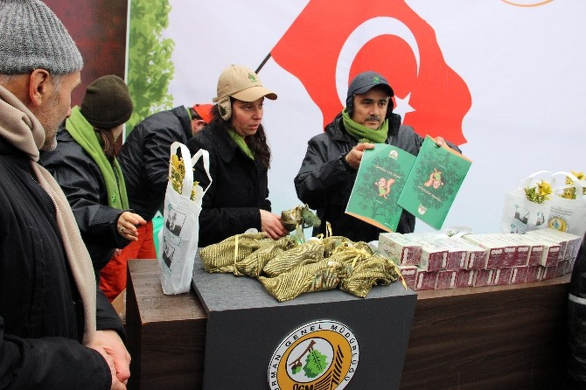 Şehitler Tepesi\'ne Şehitler Anısına Fidan Dikildi