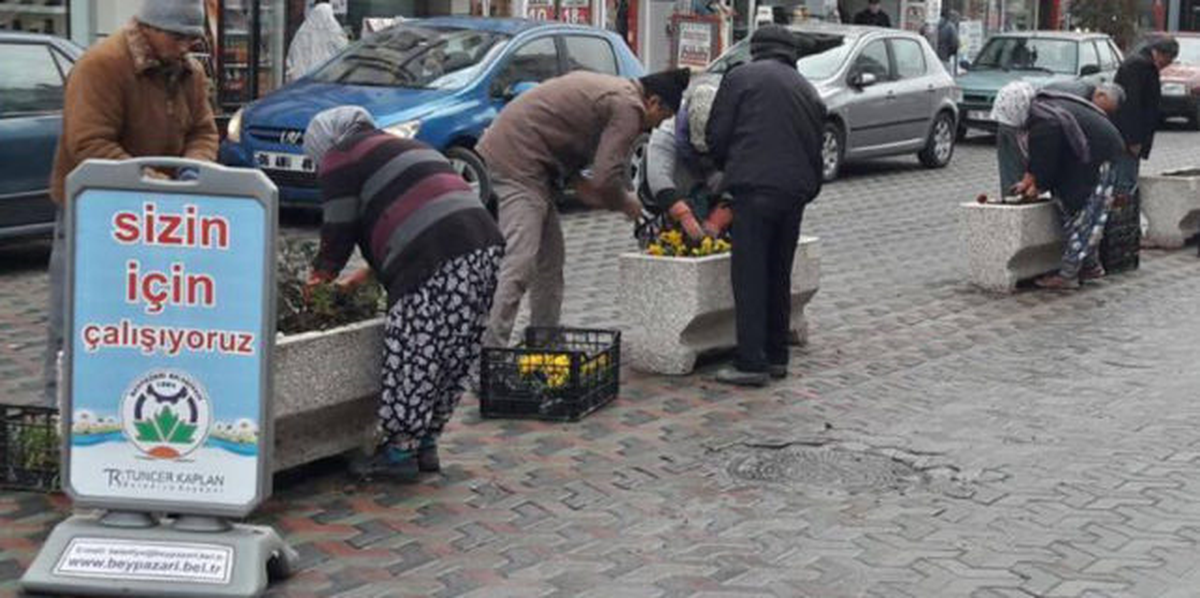 Beypazarı\'na Kışa Dayanıklı Çiçekler Dikildi