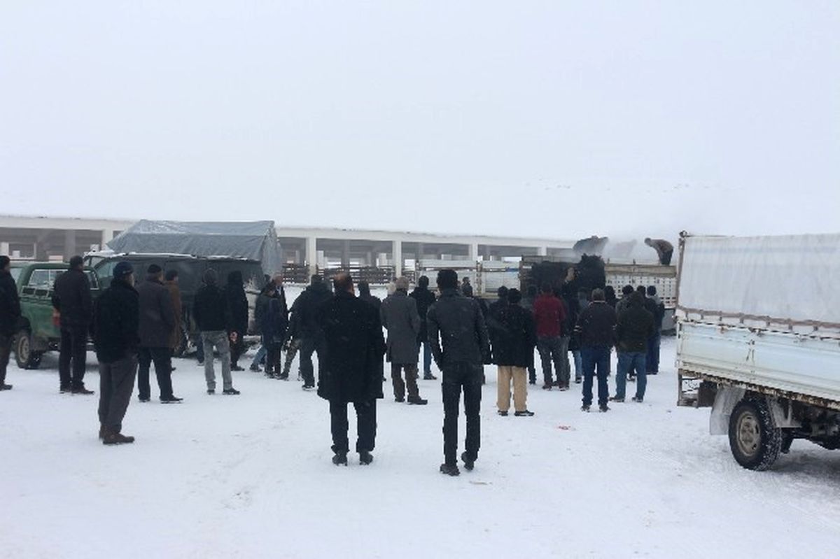 Bulanık\'ta Genç Çiftçilere Hayvanları Dağıtıldı