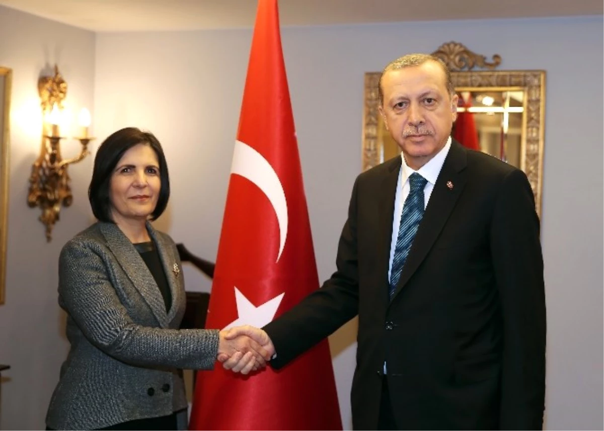 Cumhurbaşkanı Erdoğan, KKTC Meclis Başkanı Sibel Siber\'i Kabul Etti