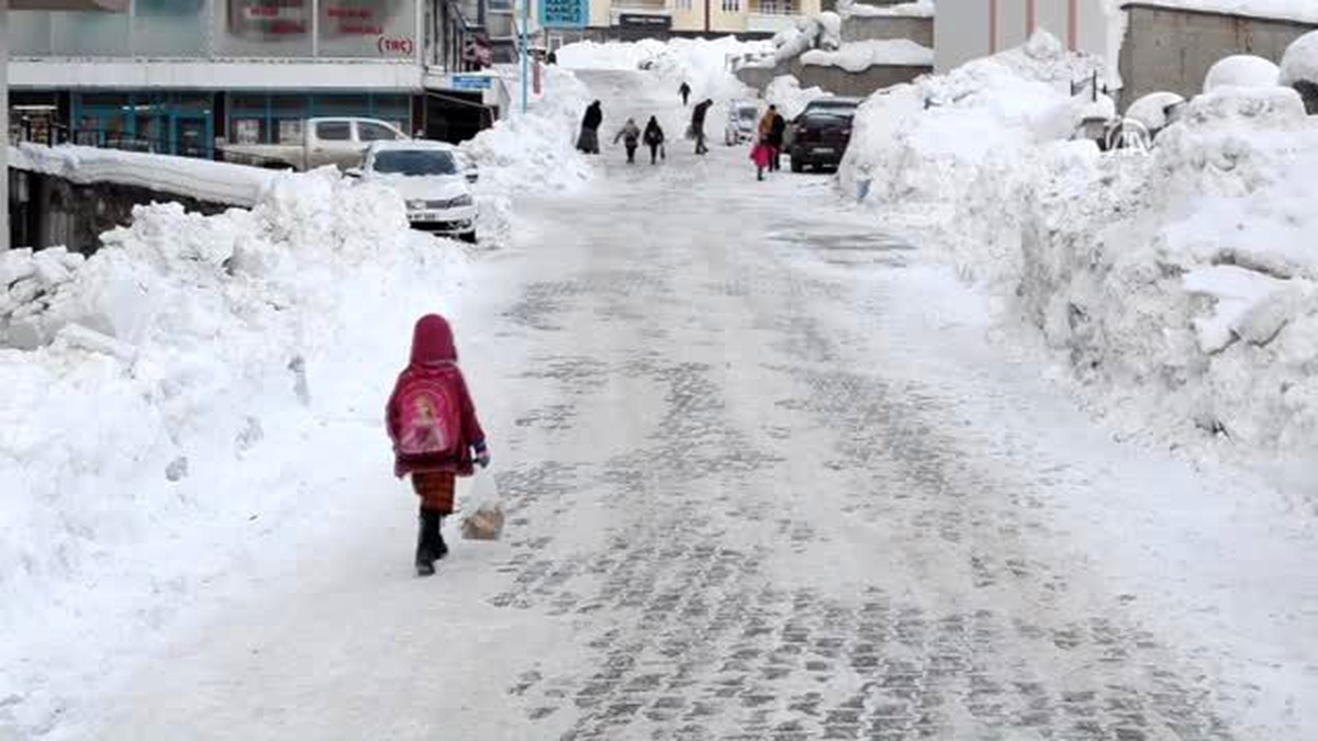 Doğu Anadolu\'da Soğuk Hava ve Kar