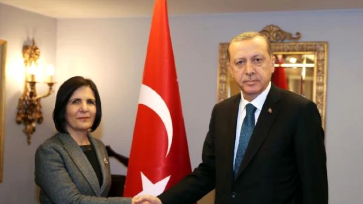 Erdoğan, KKTC Cumhuriyet Meclisi Başkanı Siber\'i Kabul Etti