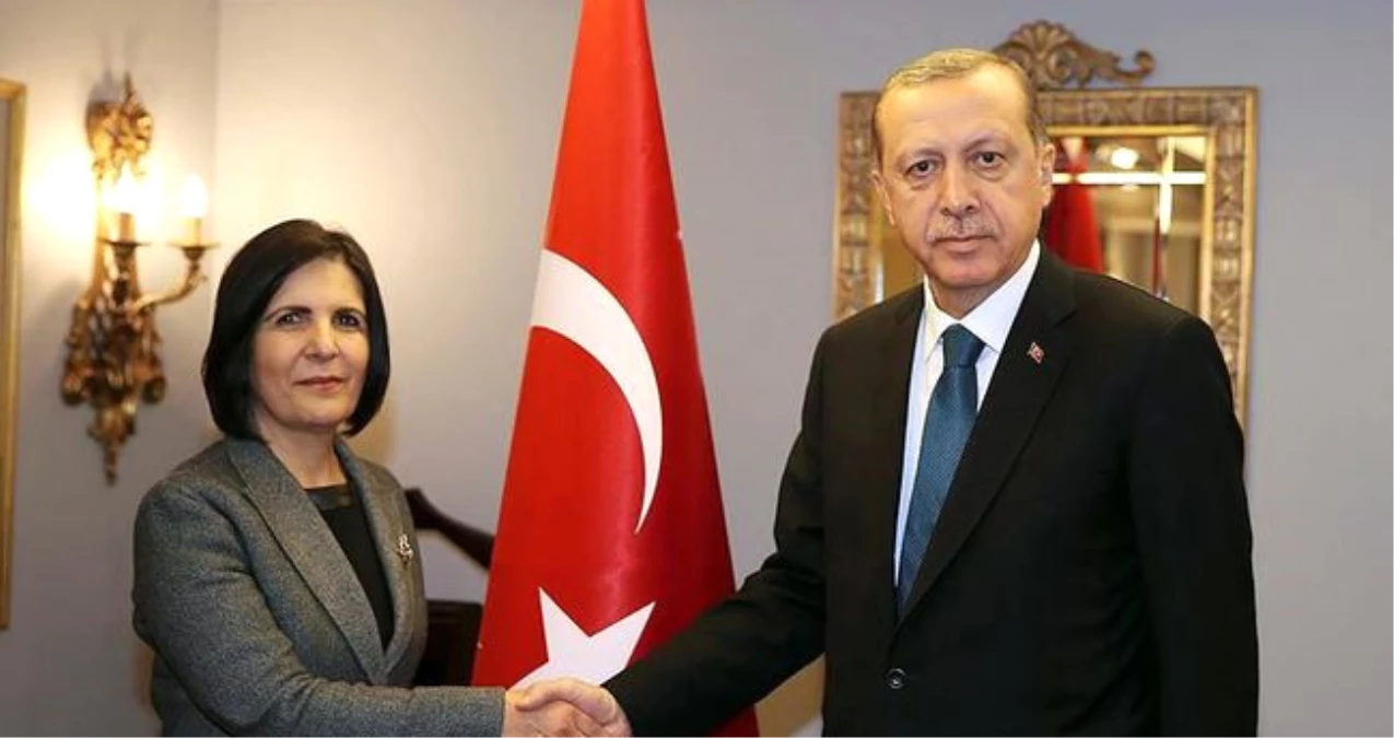 Erdoğan KKTC Cumhuriyet Meclisi Başkanını Kabul Etti