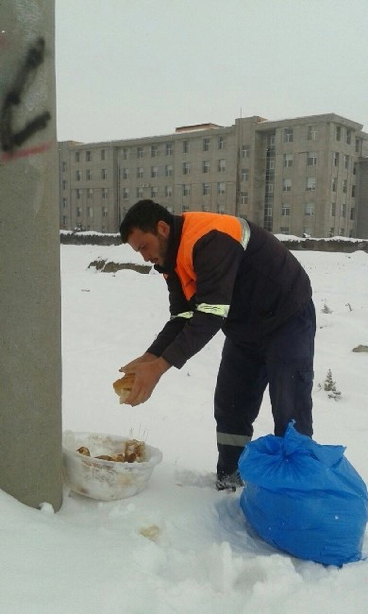 Ereğli\'de Sokak Hayvanlarına Yem Bırakıldı