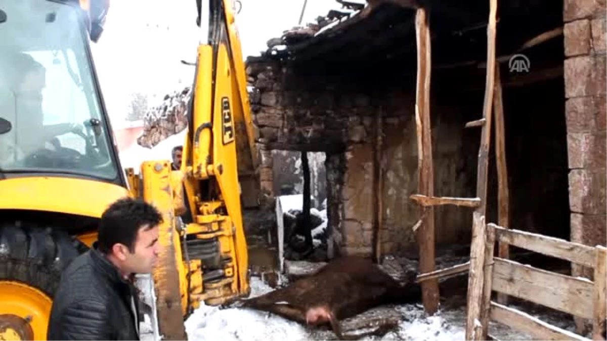 Inekleri Telef Olunca Gözyaşlarını Tutamadı