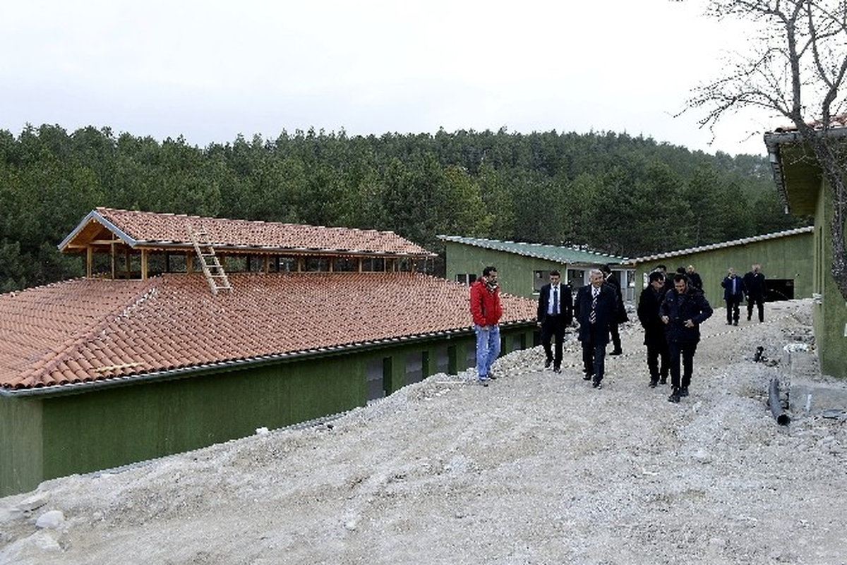 Isparta\'da Hayvan Barınağı Kurma Çalışmaları