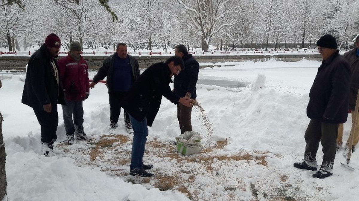 Seydişehir Belediyesi Kuşlar İçin Doğaya Yem Bıraktı