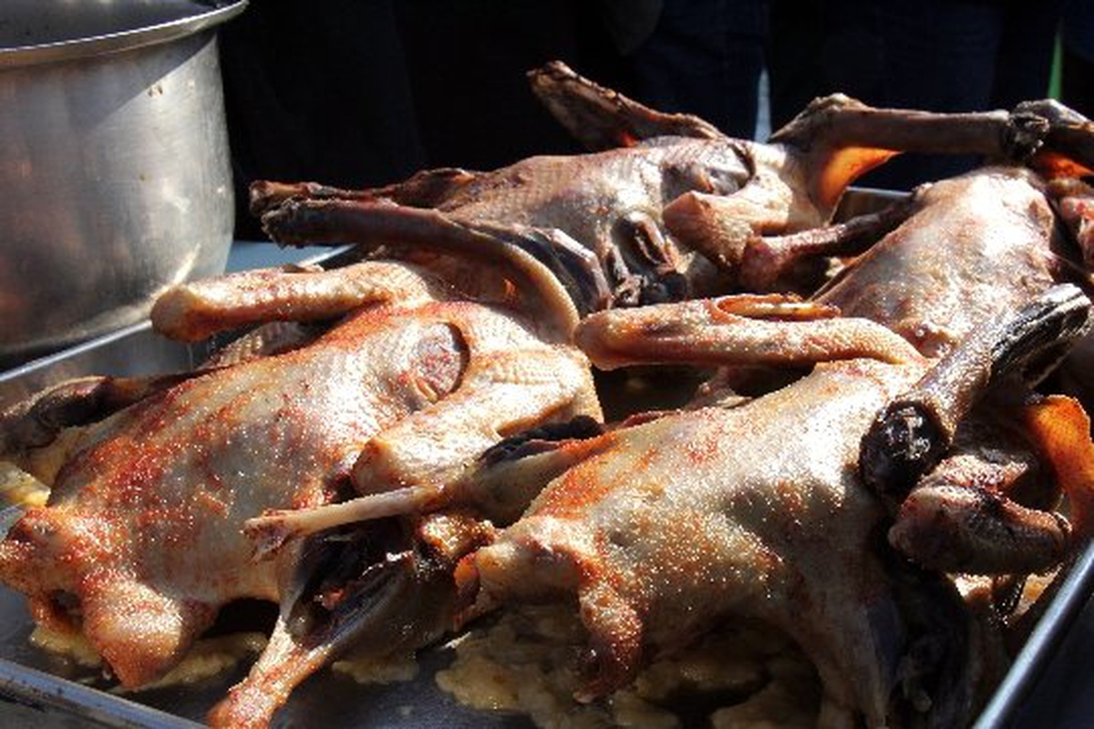 Yozgat\'ta "Kaz Günü Etkinliği"