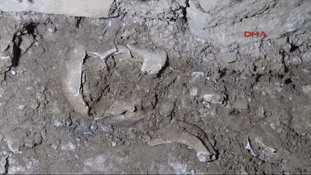 Adıyaman Kepçenin Çalışması Türbedeki Kemikleri Çıkardı