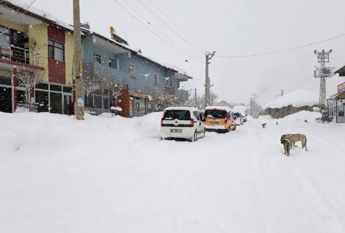 Bingöl\'de Kar Yağışı Hayatı Felç Etti
