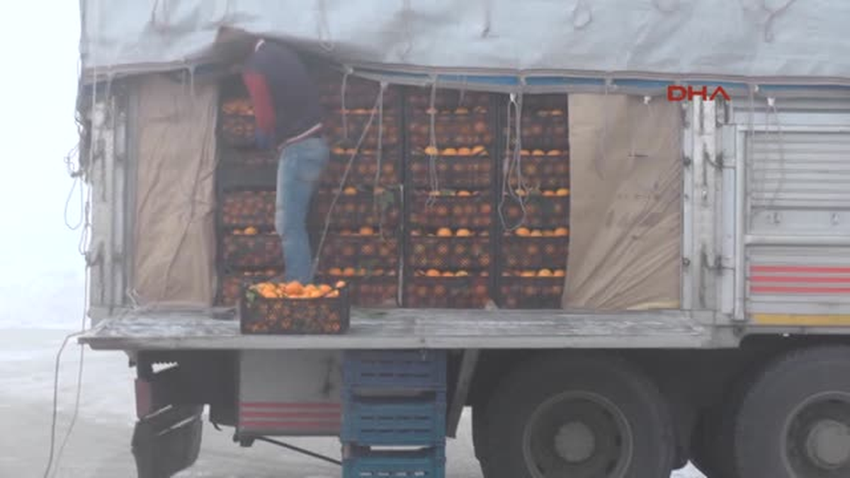 Muş Sebzelerin Donmasına Sobalı Önlem
