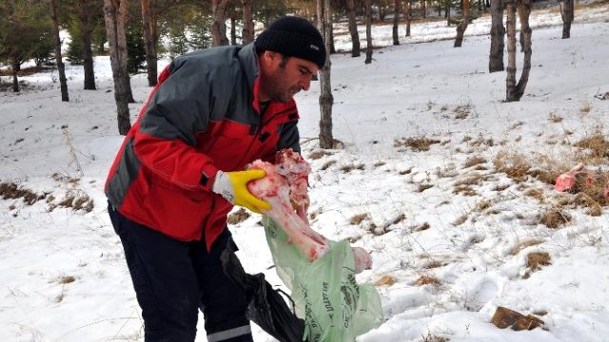 Osmanlı Eğitim Ocakları\'ndan Yaban Hayatına Destek