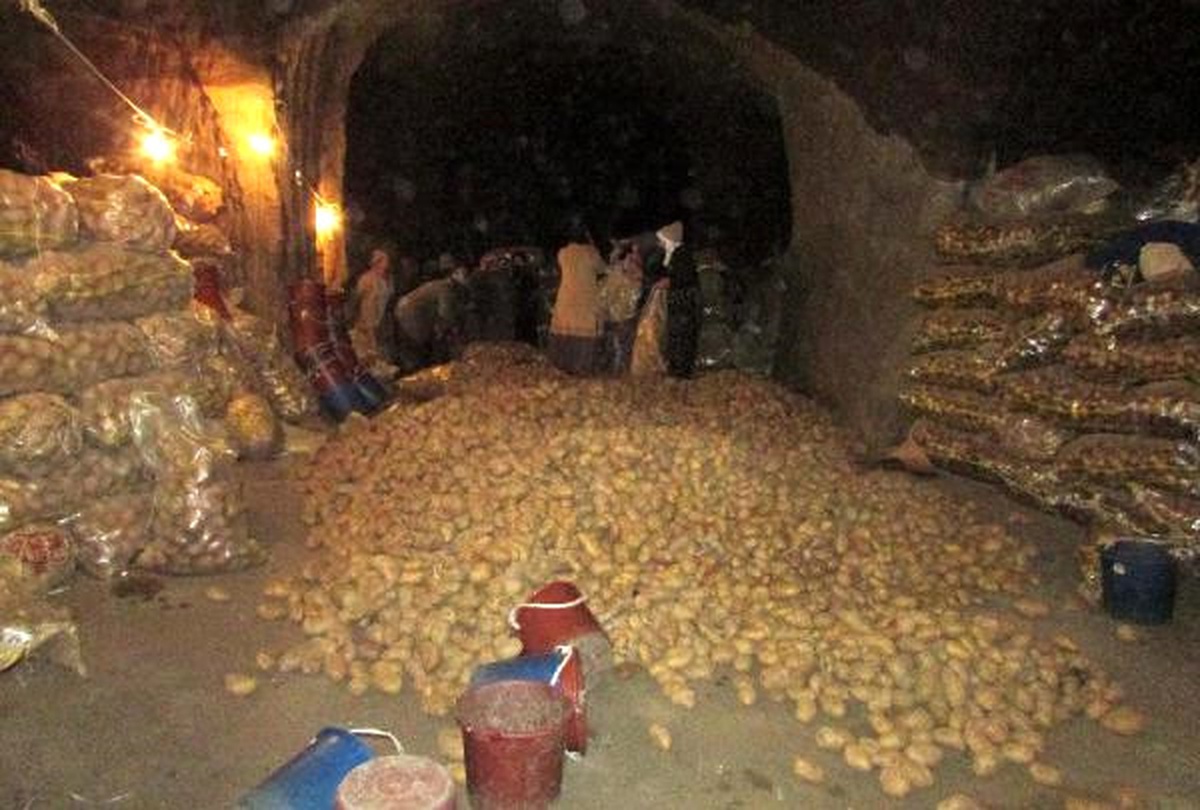 Tonlarca Patates 8 Ay Mağarada Saklanıyor