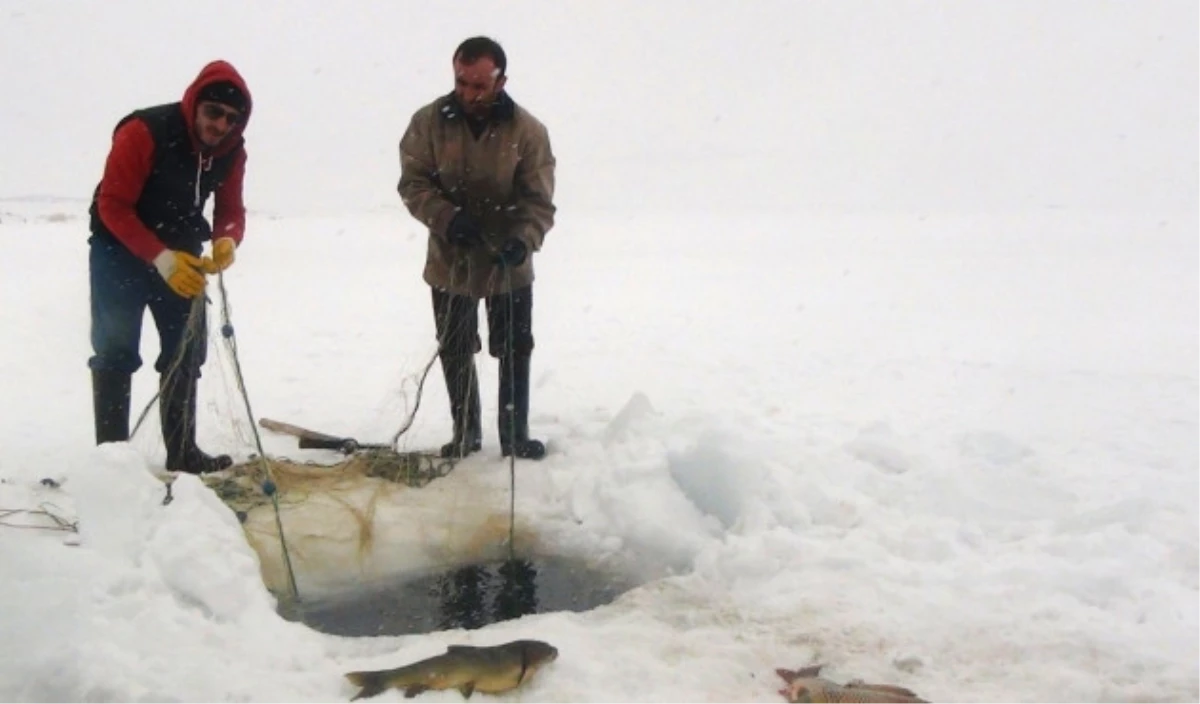 Buz Altında Balık Avı