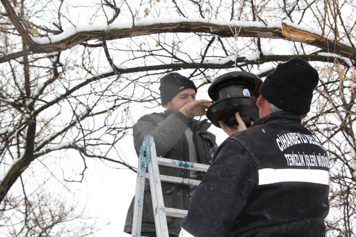 Cihanbeyli\'nin Dört Bir Tarafına Kuş Evleri Yerleştirildi