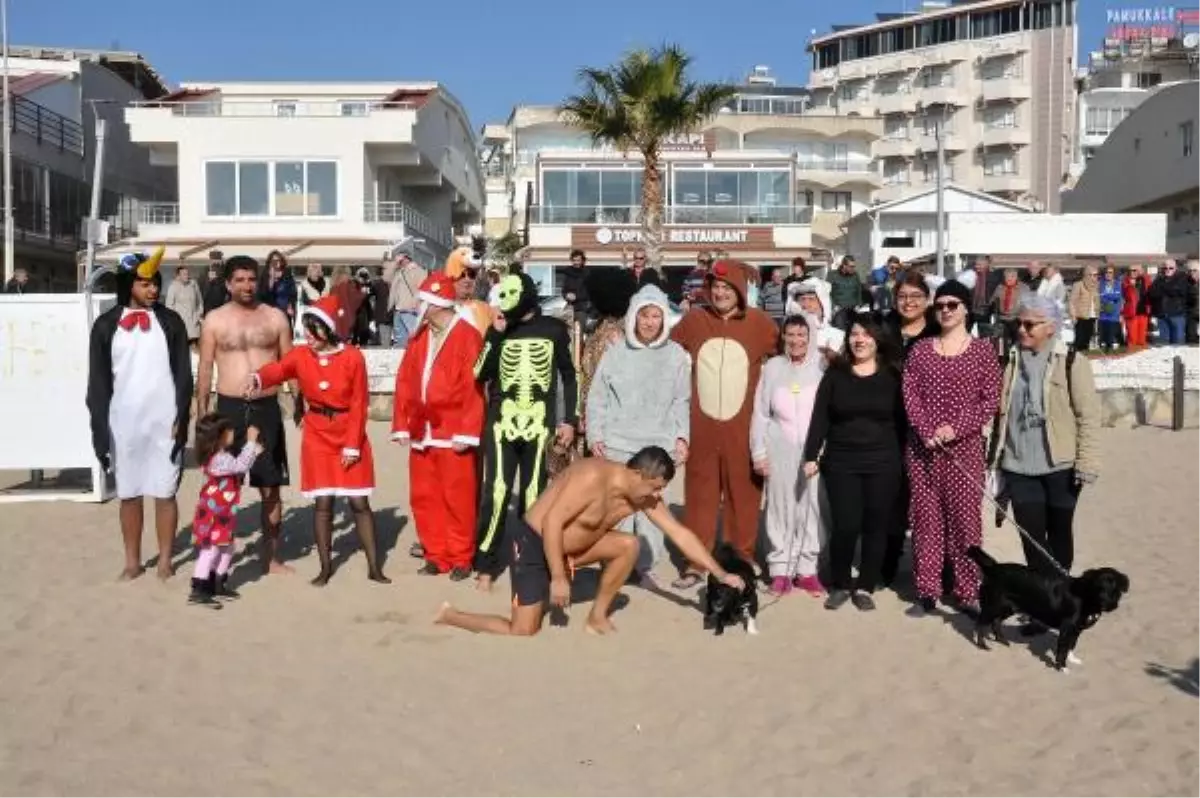 Sokak Hayvanları Yararına Denize Girdiler