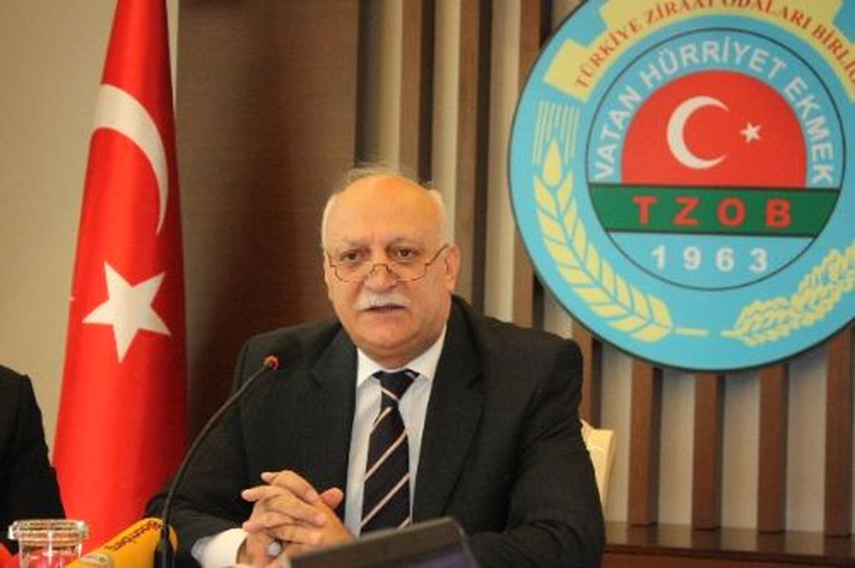 Tarımsal Üretim Seracılığa Kayıyor