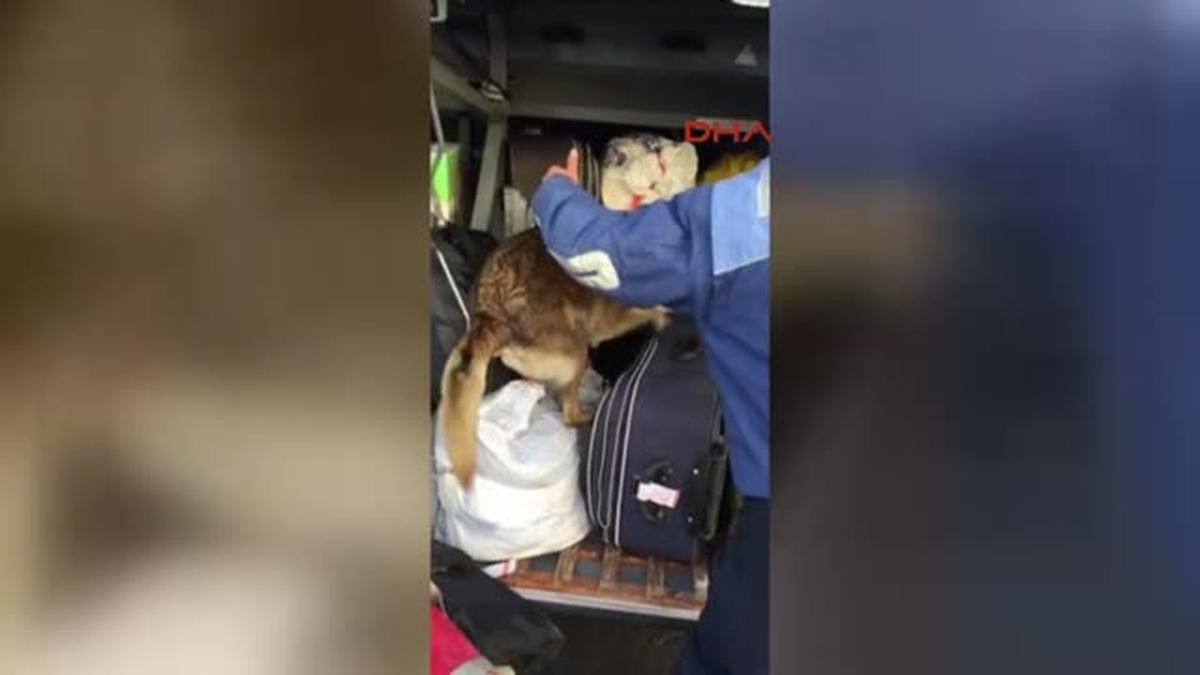 Uşak\'ta 26 Kilo 720 Gram Esrar Ele Geçirildi