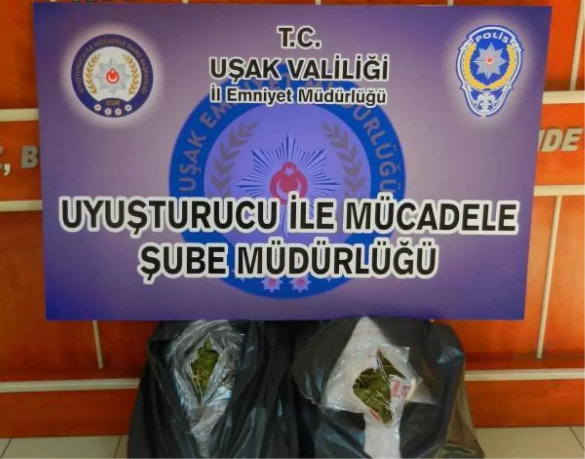 Uşak\'ta 26 Kilo 720 Gram Esrar Ele Geçirildi