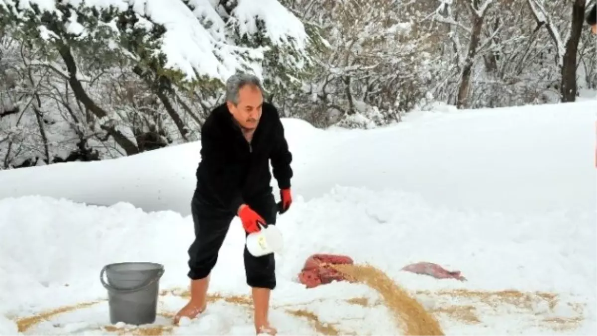 Akşehir Belediyesi Sokak Hayvanlarını Unutmadı