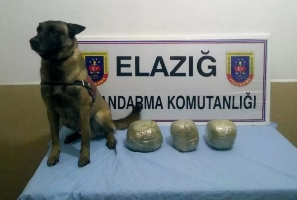 Elazığ\'da Trende 6 Kilo Esrar Ele Geçirildi