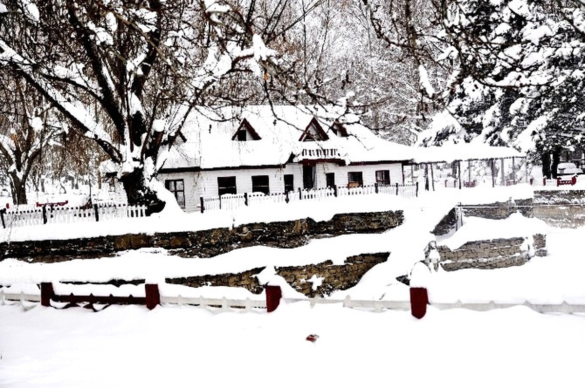 Seydişehir\'de Beyaza Bürünen Kuğulu Park\'ta Kartpostallık Fotoğraflar