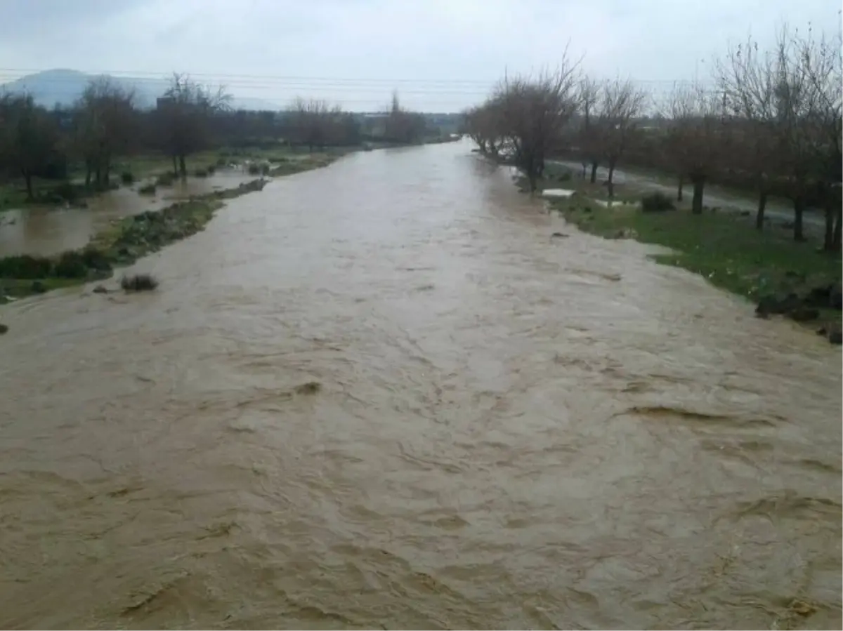 Yağışlar Çatıllı Çayını Coşturdu