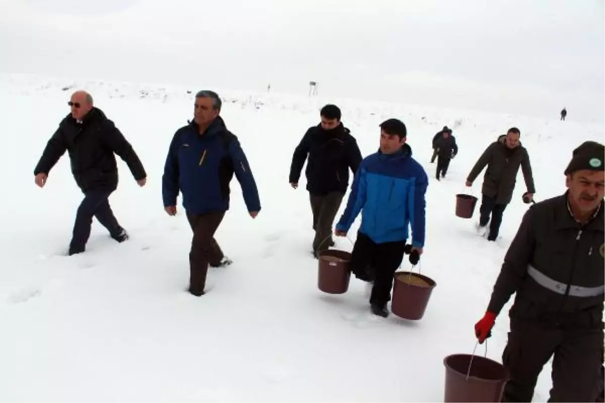 Ardahan Valisi Doğaya Yem Bıraktı