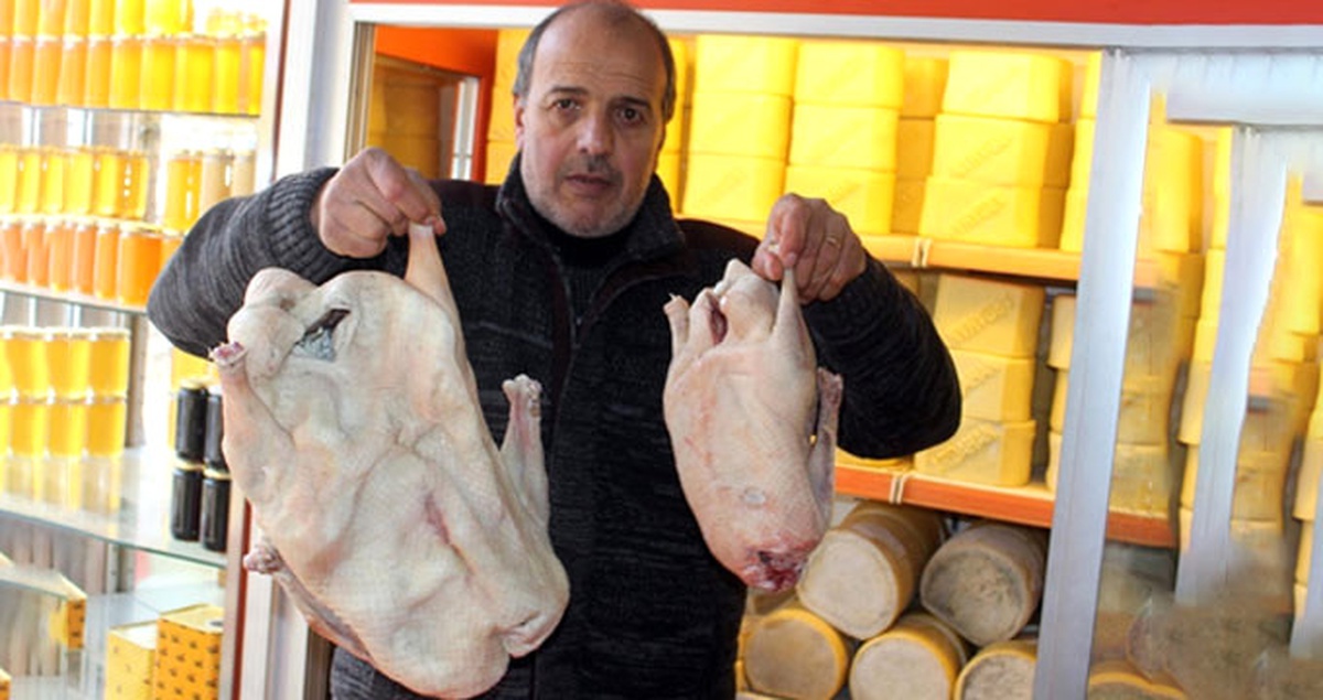 Ardahan\'da Yaklaşık 7 Kiloluk Kaz Görenleri Şaşırttı