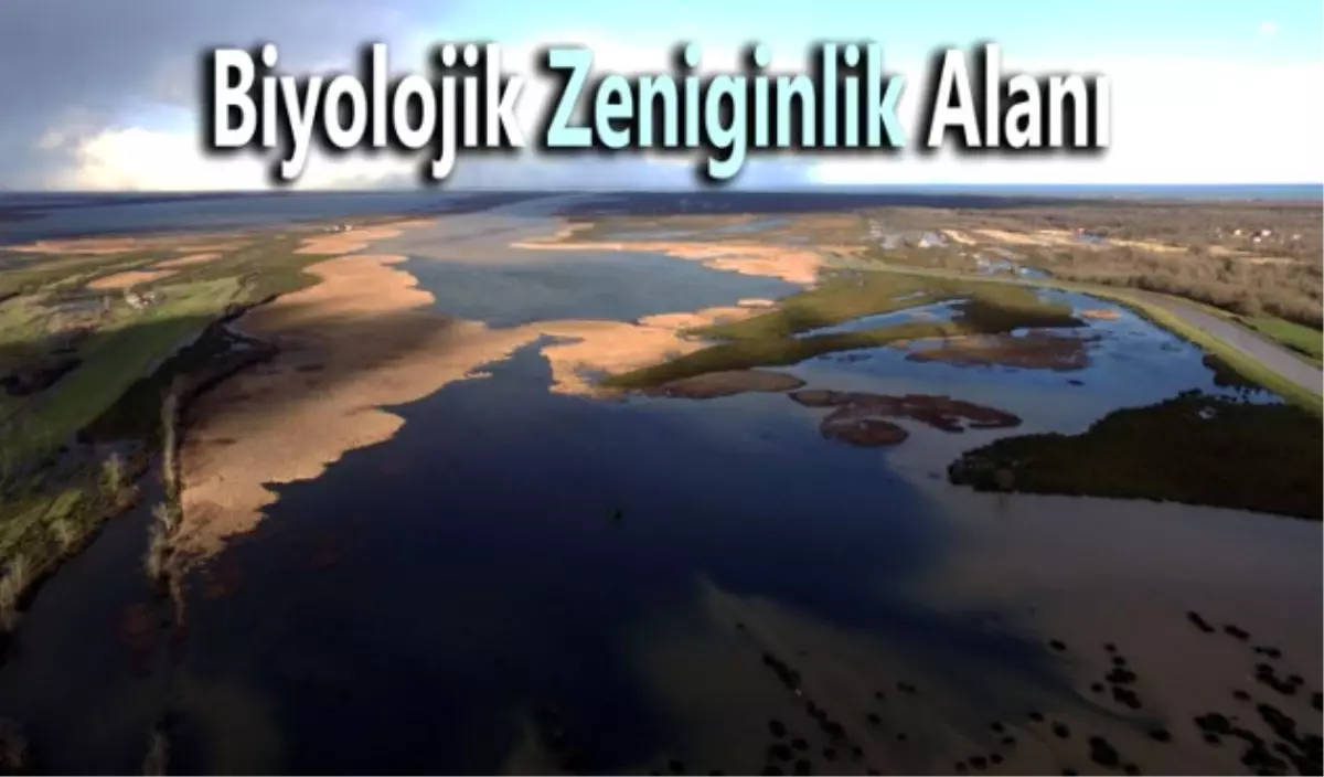 Biyolojik Zenginlik Alanı