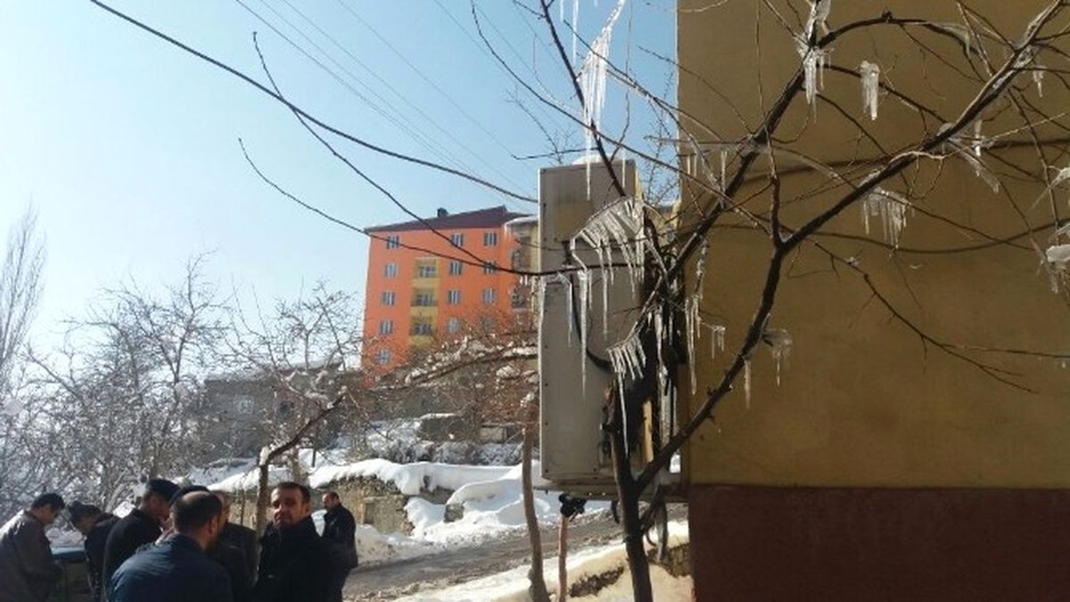 Hakkari\'de Ağaçlar Buz Tuttu