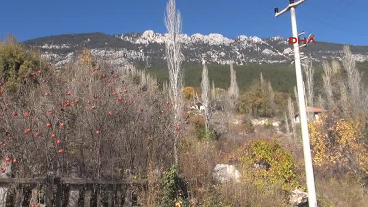 Kaş Taş Değirmen 100 Yıldır Aralıksız Tahin Üretiyor