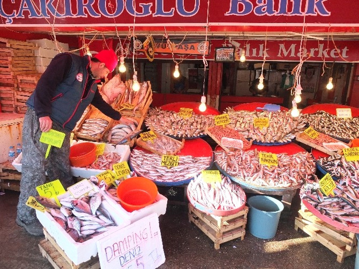 Marmara\'da Fırtına Sonrası Balık Bereketi...