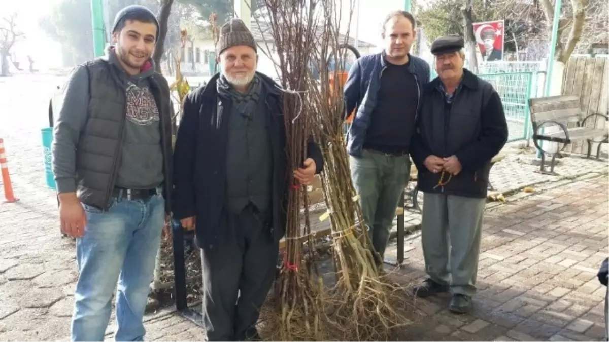 Meyve Fidanları Nilüfer Belediyesi\'nden