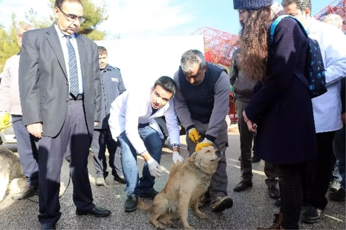 Yerel Hayvan Müfettişlerinin Eğitimleri Başladı