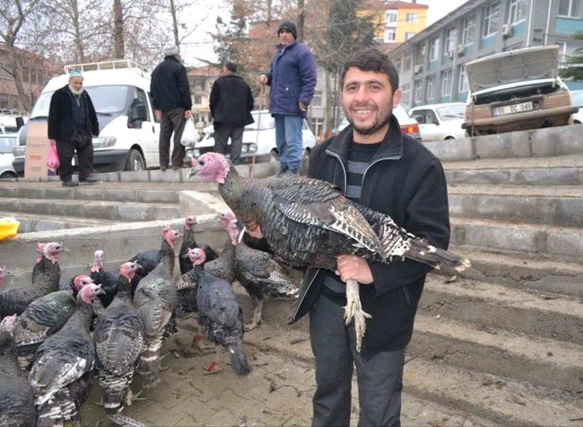 Yozgat\'ta Yılbaşı Hindileri Satışa Çıktı