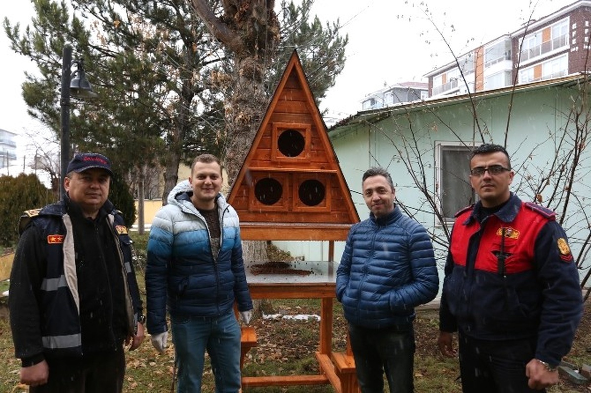 Bolu\'da Sokak Kedileri İçin \'Kedi Köşkleri\' Yapıldı