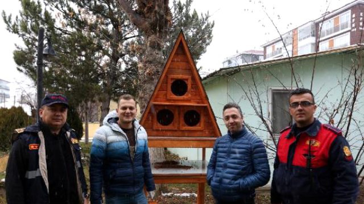 Bolu\'da Sokak Kedileri İçin "Köşk" Yaptırıldı