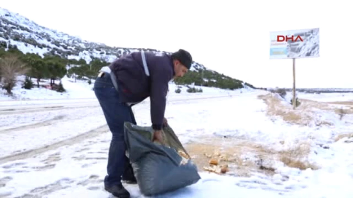 Hayvanlar Için Yem Bırakıldı