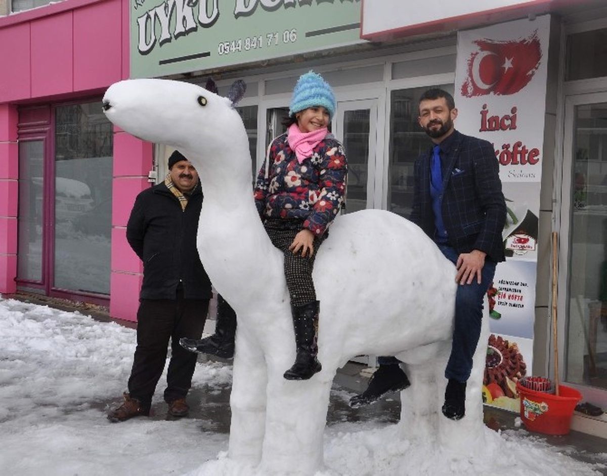 Kardan Deveye Büyük İlgi