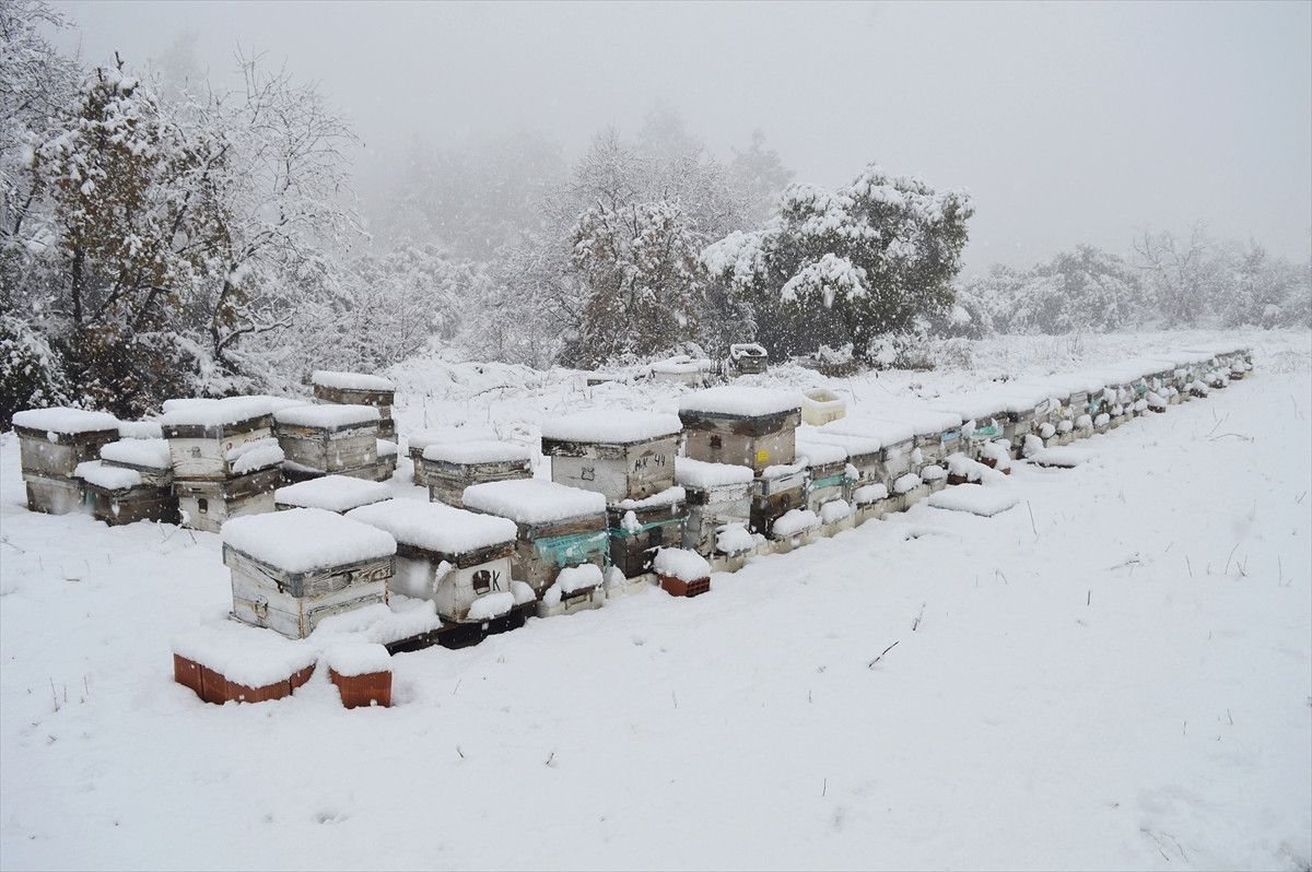 Manisa\'da Kış