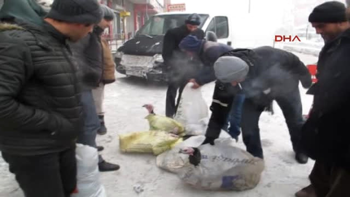 Ağrı Sıfırın Altında 20 Derece Soğukta Hindi Satışı