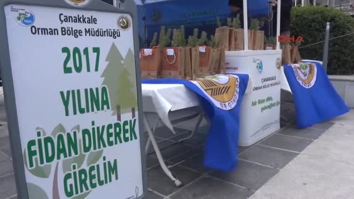 Çanakkale 4 Bin Fıstık Çamı Fidanı Dağıttılar