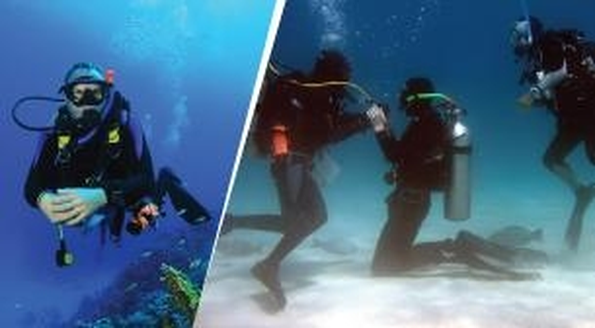 Dive Master